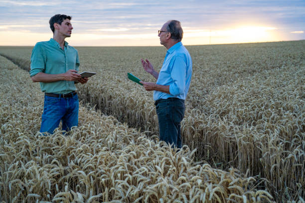 istock Agricultural engineer talking with farmer while standing in cultivated field 2171348677