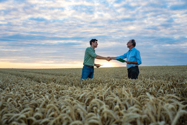istock Farming expert shaking hands with farmer while standing inside cultivated farmland 2171348720