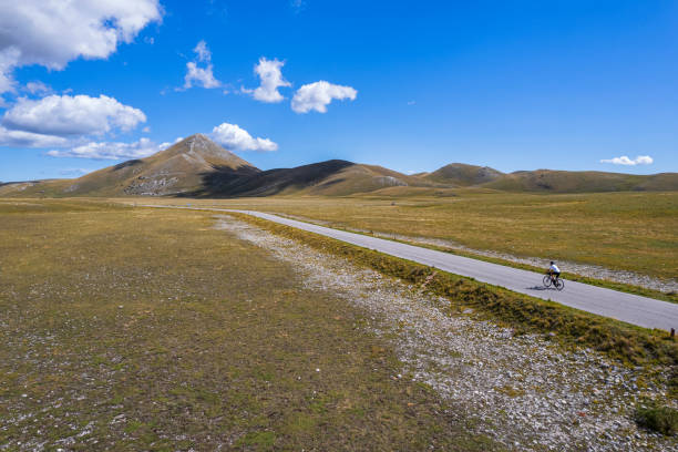 Male cyclist riding a straight empty road in the countryside, Italy
