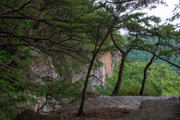 istock New River Gorge NP - Endless Wall Trail - Endless Wall View 2171352767
