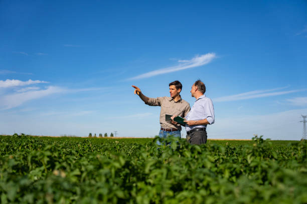 istock Young agronomist discussing crop issues with farmer in cultivated field 2171353792