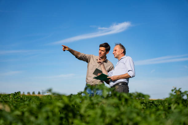 istock Young farmer consulting with agronomist while standing in cultivated field 2171353809