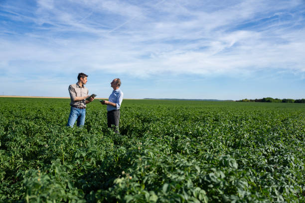 istock Young agronomist discussing crop issues with farmer in cultivated field 2171353834