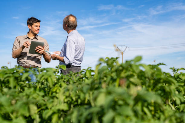 istock Young soil expert shaking hands with farmer while consulting on agricultural issues 2171353880