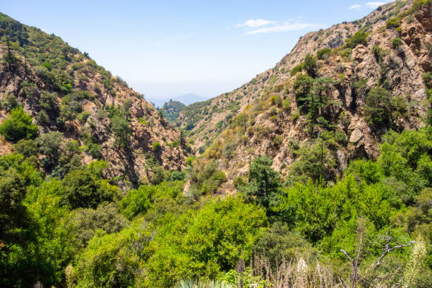 istock Angeles National Forest 2171356947