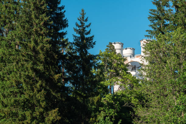 istock ancient building on a wooded island 2171357981