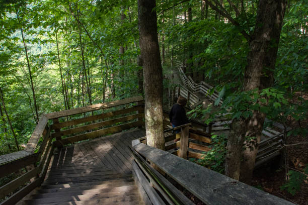 istock New River Gorge NP - Stairs to Overlook 2171366357