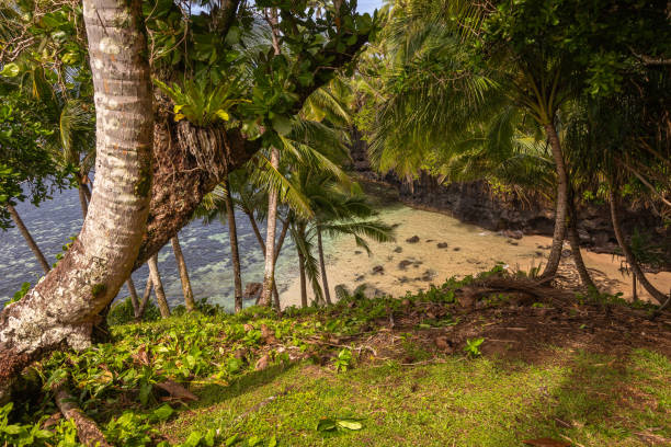 istock Samoa Amazing Natural wonder in the South Coast 2171366544