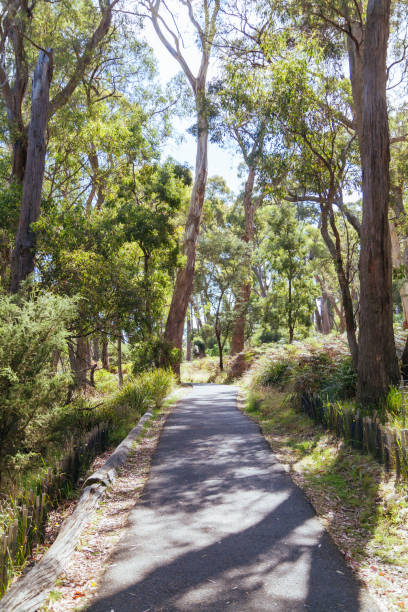 istock Hanging Rock in Macedon Ranges in Australia 2171366657