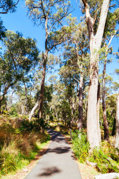 istock Hanging Rock in Macedon Ranges in Australia 2171366679