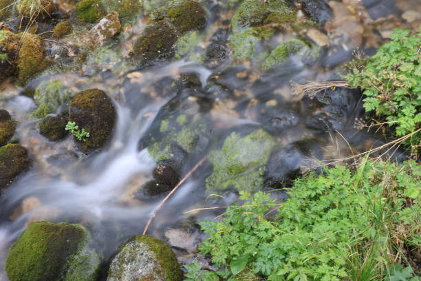 istock a fast-flowing mountain stream foams over the flowing stones 2171369188