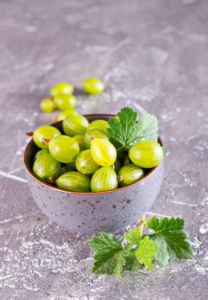 istock Fresh gooseberry in gray bowl on a table 2171369611