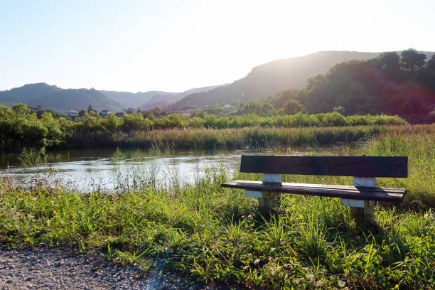 A peaceful bench invites you to relax and enjoy the view of the Mundakako Itsasadarra River. Framed by lush hills, the river winds through the serene Basque Country landscape