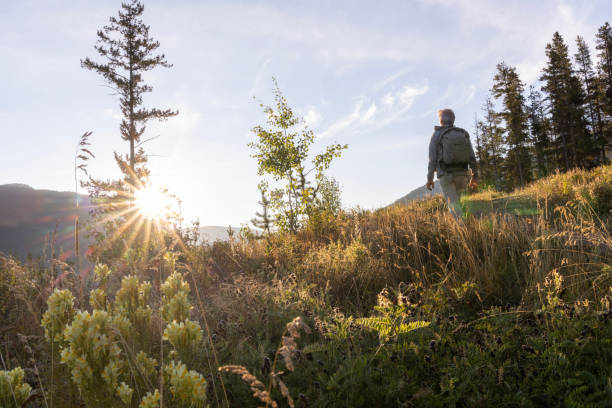 istock Mature man hikes through mountain meadow 2171372367