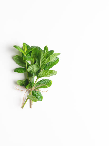 istock A bouquet of fresh mint leaves. 2171374991