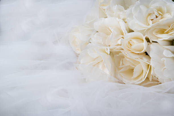 photo of white flowers on background