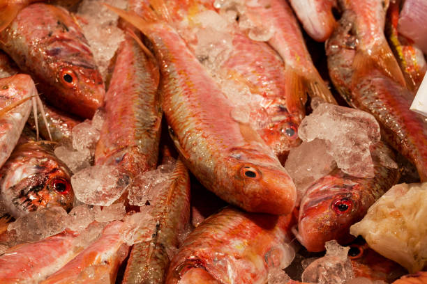 istock fish market with many different fresh fishes 2171377787