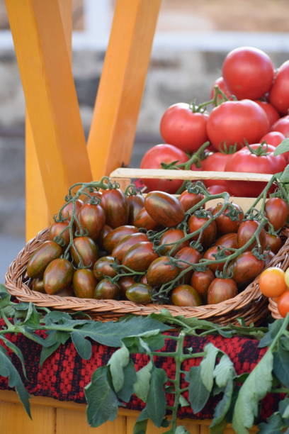 istock Dark red cherry tomatoes in a wicker basket 2171378152