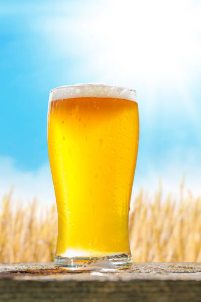 istock A glass of cold beer sits on a table with a vast rye field 2171378411