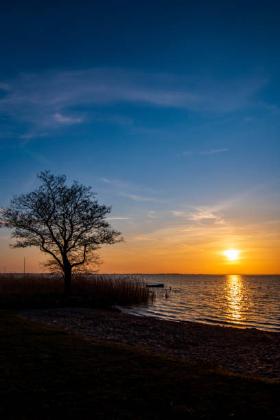 istock Sunset at the lake 2171378808