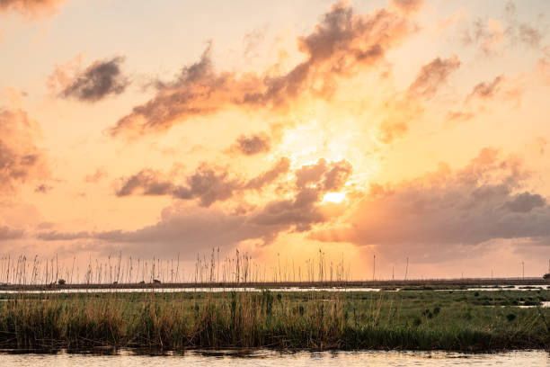 Near sunset over Louisiana bayou and marsh