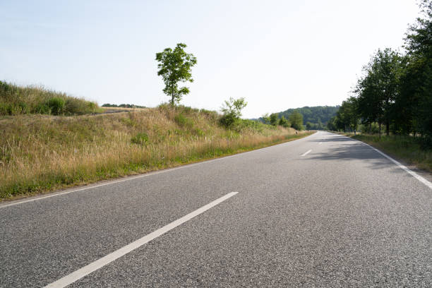 istock Road between grass and trees in the landscape 2171379816