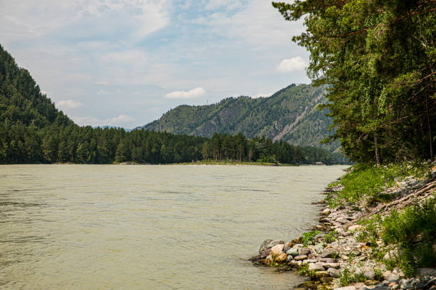 istock A river flows with mountains and lush trees along its shores 2171381197