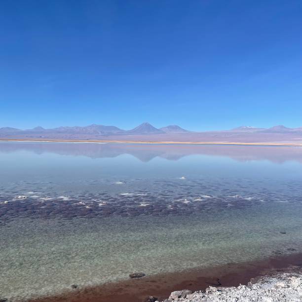 istock Lagoon desert Atacama 2171381285