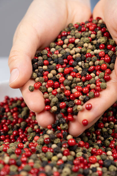 istock Hands sprinkling peppercorn mixture red, green, white and black pepper 2171381448