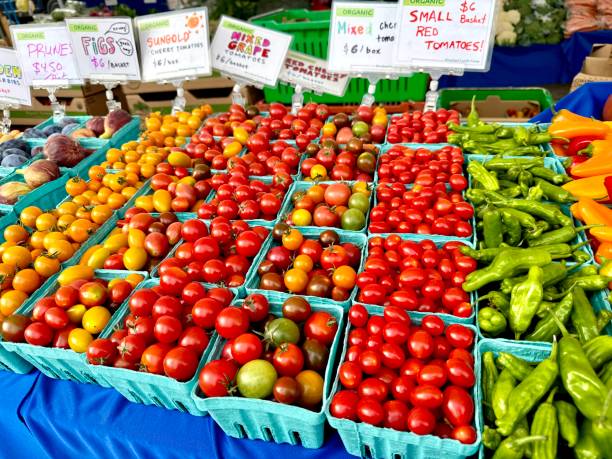 istock Tomatoes at the farmers market 2171385248