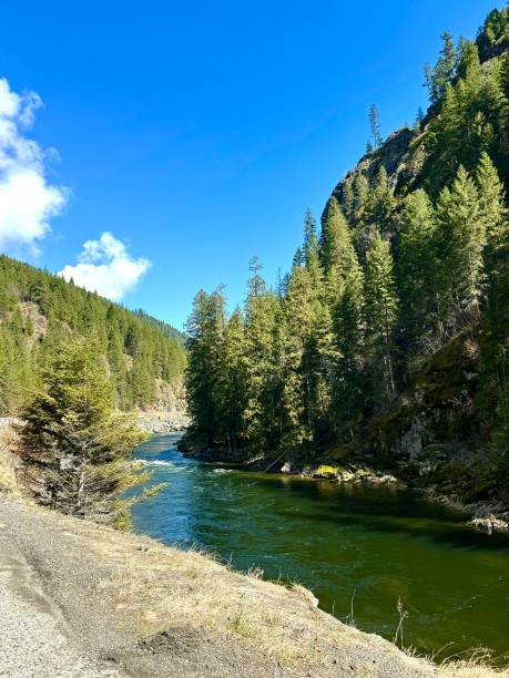istock River flows through Mountains of Idaho 2171386532