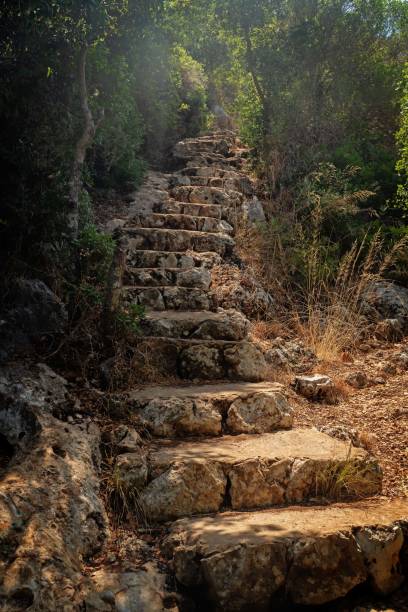 istock Mount Carmel National Park, Haifa, Israel 2171399045