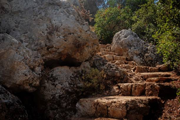 Mount Carmel National Park, Haifa, Israel. toning