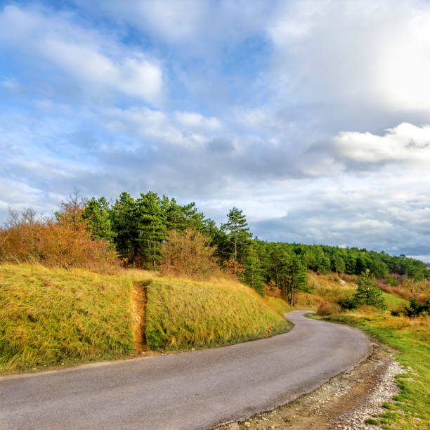 Countryside single lane road in Irancy, France