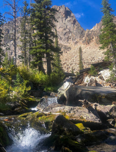 istock Creek In The Mountains With Trees And Blue Sky 2171400469