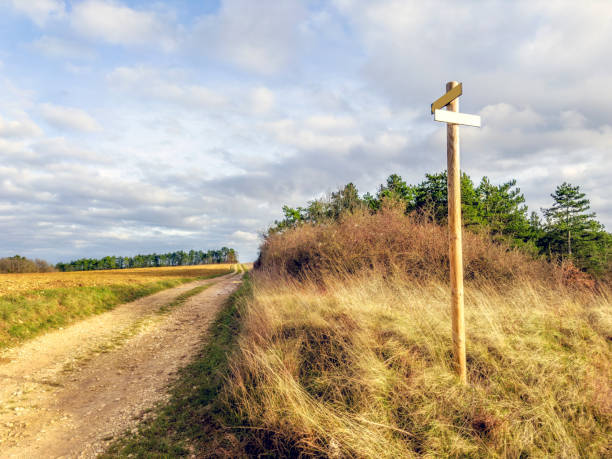 A narrow trail on a green mowed meadow, symbolizing direction, decisions, and peaceful outdoor scenery. Ideal for concepts of journey, nature, and personal growth.