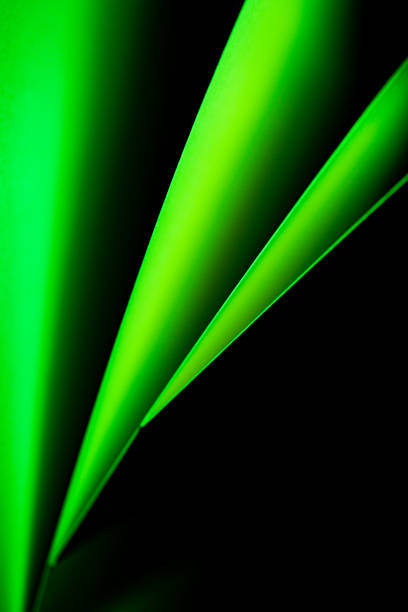 Curved shapes in vibrant green and black blend together harmoniously, creating an engaging abstract composition that invites the viewer to explore textures and colors.