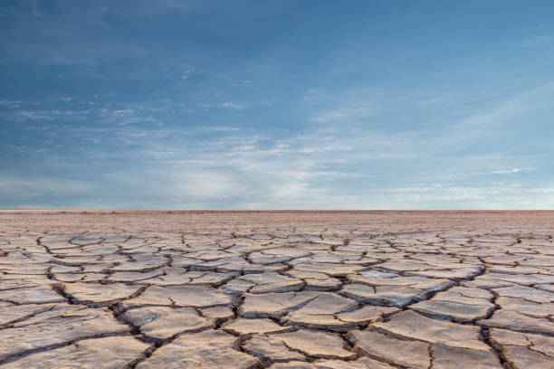 istock Landscape of soil drought cracked with sunset. 2171414722