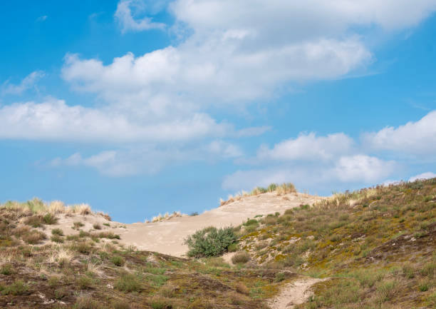 blue sky and clouds over dunes with marram grass at north sea beach in the netherlands