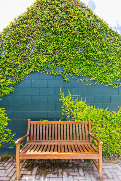 istock Wooden Bench Against Greenery-Covered Wall 2171421987