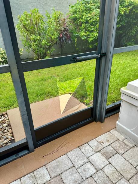 istock A ripped screen on a pool patio door from a black bear. 2171424957