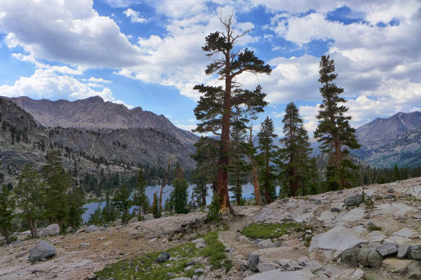 Cathedral Peaks under a cloudy sky with the lake in the foreground.\n\nTaken in Yosemite National Park, California, USA