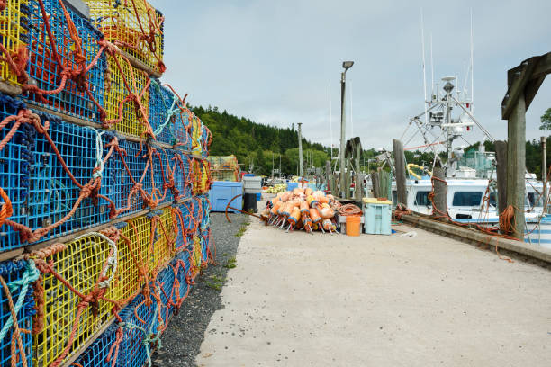 istock Lobster traps and fishing gears 2171429068