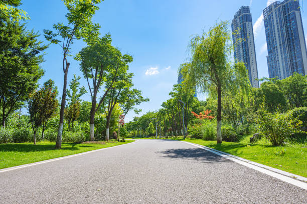 istock Curved asphalt road through the beautiful city park 2171429123