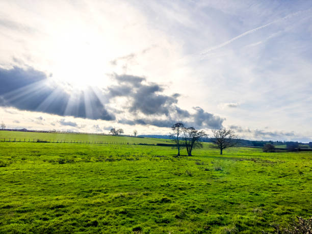 Rural landscape in Sainte-Magnance, France