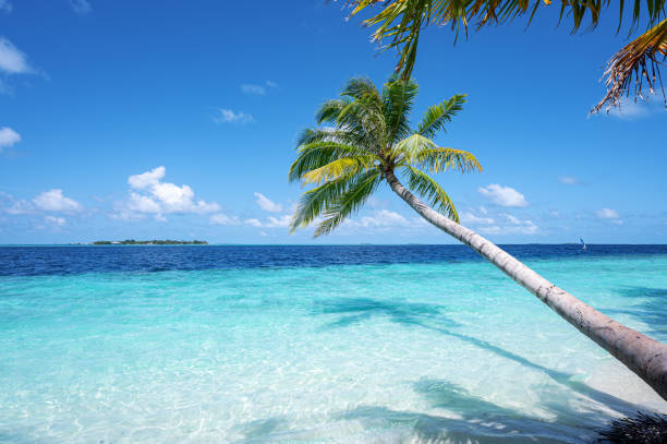 The summer tropical on the sandy beach and turquoise Tropical beach with blue sky background