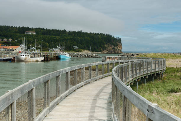 Wooden footpath boardwalk along a commercial fishing harbor (Alma, Bay of Fundy, New Brunswick)