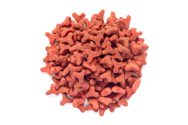 istock Dry pet food on a white background. 2171437486