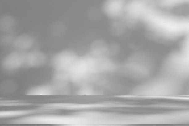 istock Studio style background wall decoration presentation uses white tones. with shadows cast from a nearby window, concept creating a decorative backdrop. 2171439485