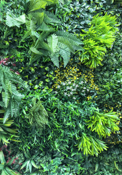 istock Background made from green leaves 2171442464